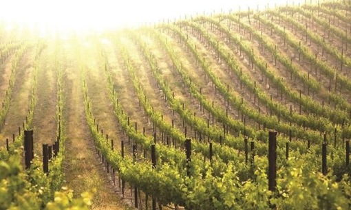 ���@����(sh��)�ԷN�½���(sh��)�(y��n)�ҙz�y(c��)�(xi��ng)Ŀ���x������