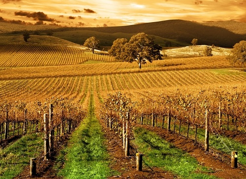 ��������ˮ�֜y(c��)���x