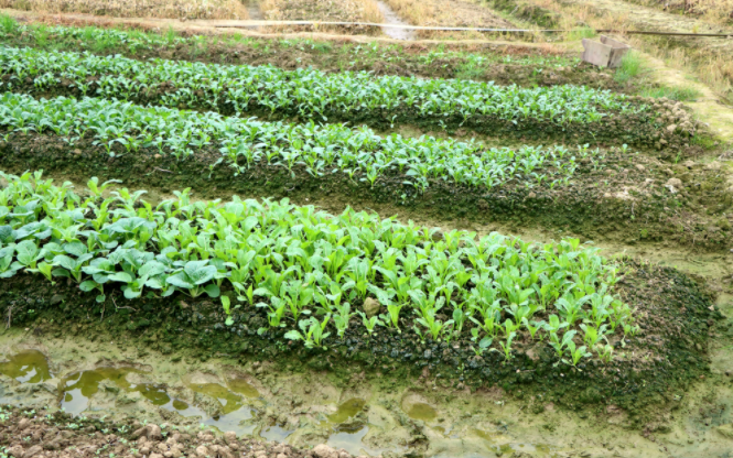 �����B���ٜy�x