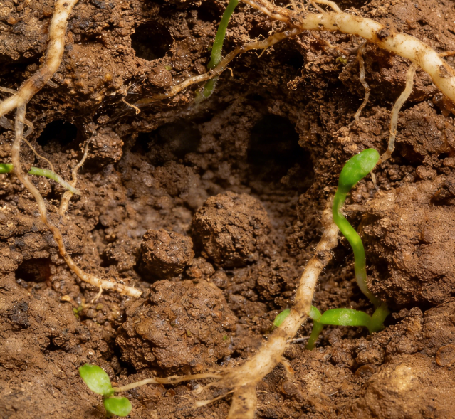 土壤水勢測定儀